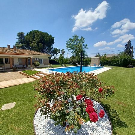 Remanso De Paz Cerca De Sevilla Dreamertu Palomares del Rio Ngoại thất bức ảnh