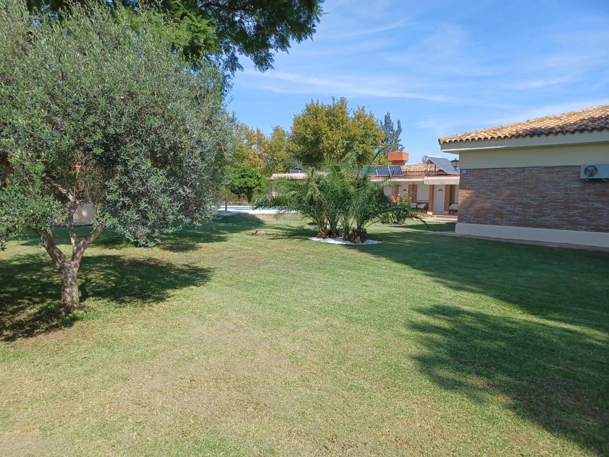 Remanso De Paz Cerca De Sevilla Dreamertu Palomares del Rio Ngoại thất bức ảnh